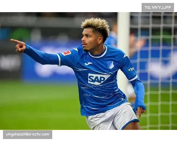 霍芬海姆迎队史最佳赛季 进攻线47球与多特并列联赛第二 霍芬海姆迎队史最佳赛季 进攻线47球与多特并列联赛第二